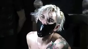Nicky bondaged with an increment of hoof it gagged