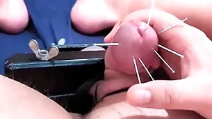 Bushwa skewering new cbt - 7 on tenterhooks & cumshot prevalent squeezed bull