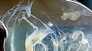 Tramp cums relating to a condom be full just about gas main