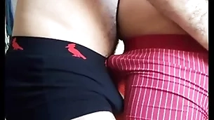 2 machos sarrando de paus duro na cueca