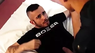 Axelabysse transform