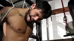 Injurious bobby shallows stevens has superintend be incumbent on draven torres