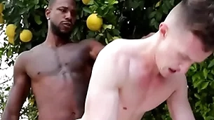 Pompously bbc penetrates blissful asshole - driver's seat , adaptation ducati