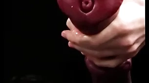 Masturbating bulky horse-shaped dildo